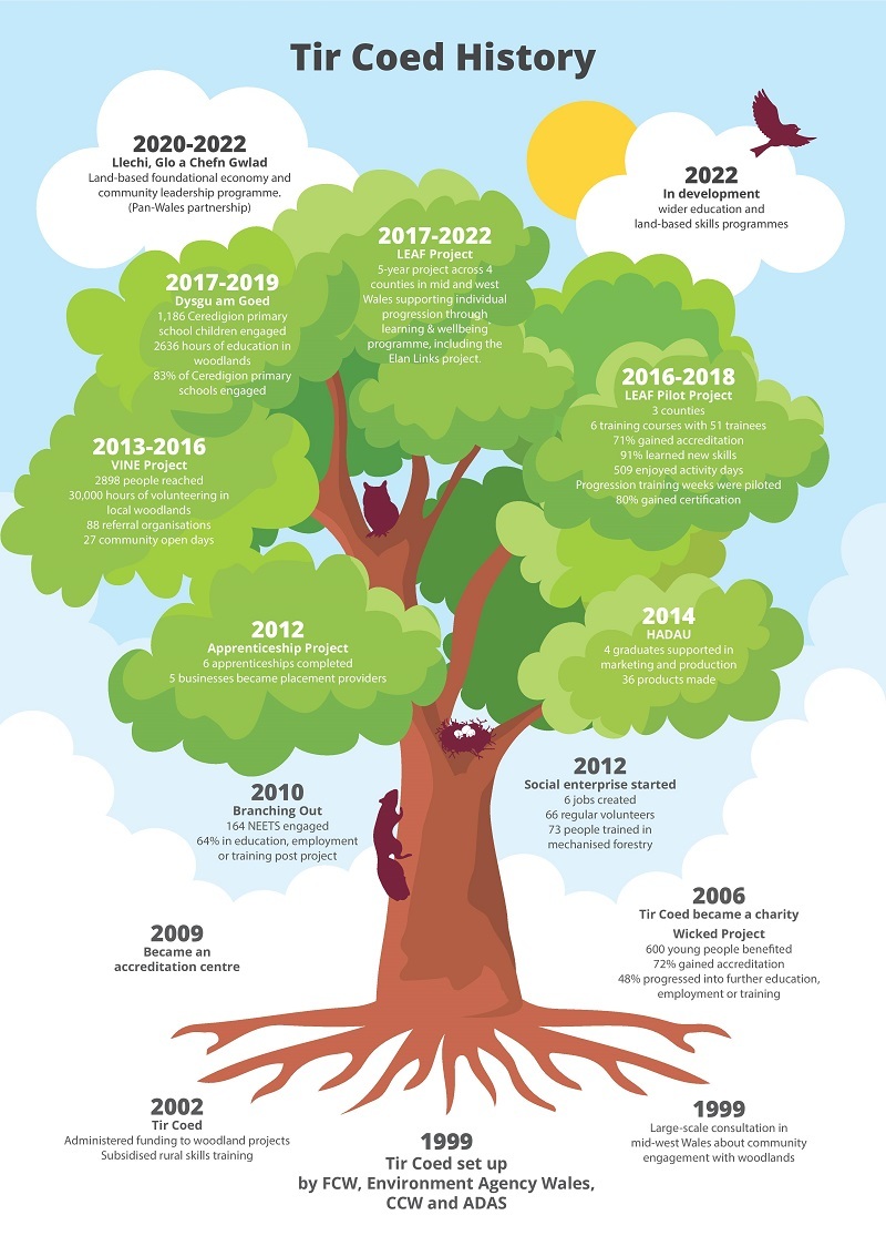 Tir Coed History Tree 2020 Jpeg