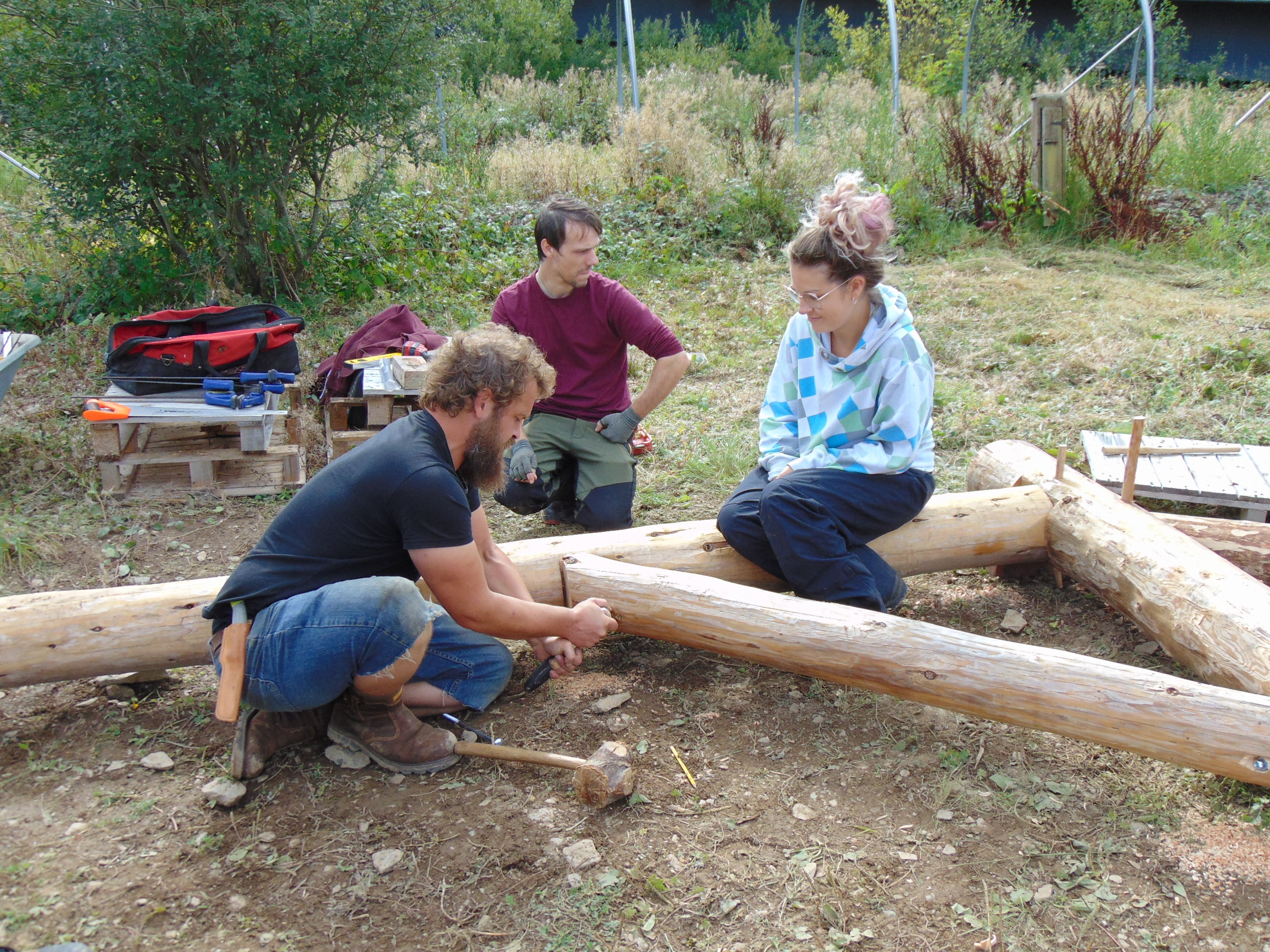 Building Bridges At Yr Ardd Llandysul Tir Coed